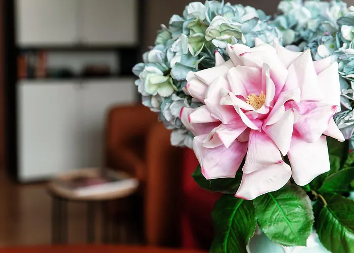 Maison De Raf Όπως